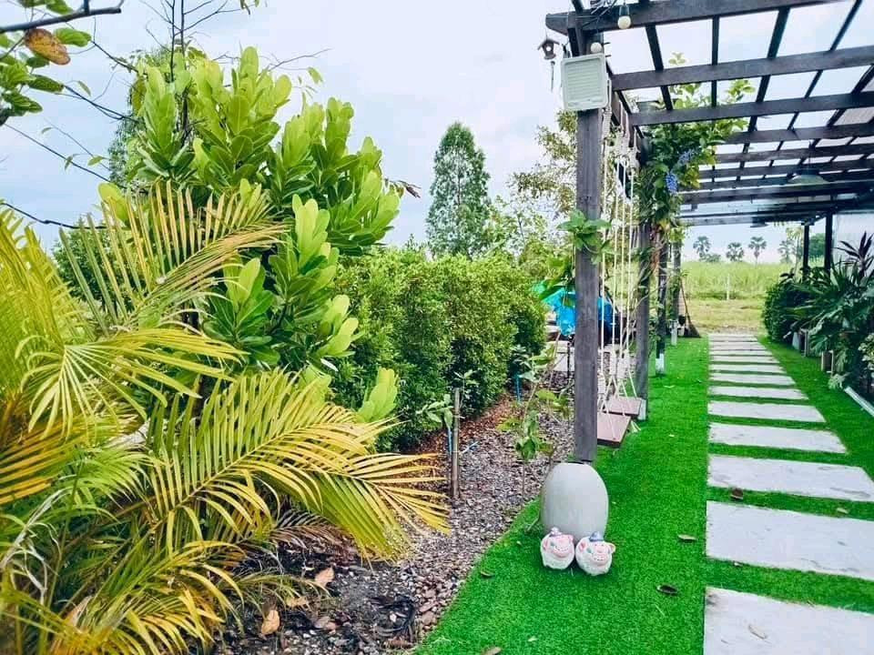 ขายบ้านพร้อมที่ดิน 1 ไร่ ถูกๆๆ – รูปที่ 3