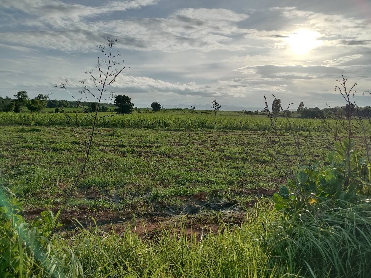 Large plot of empty land for sale, 51 rai, good location, mountain view, next to paved road on 2 sides, Phu Wiang District, Khon Kaen Province. – รูปที่ 2