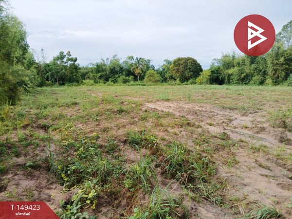Land for sale, area 3 rai 2 ngan 54 square wah, Khao Hin Son, Phanom Sarakham, Chachoengsao.