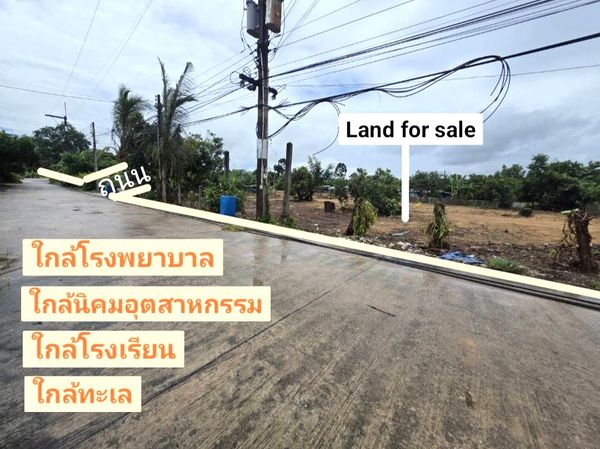 High Profitable to Build and Sell!! Prime Land for Sale 178 sq.wah in Na Ta Khwan, Mueang Rayong, Rayong Province 