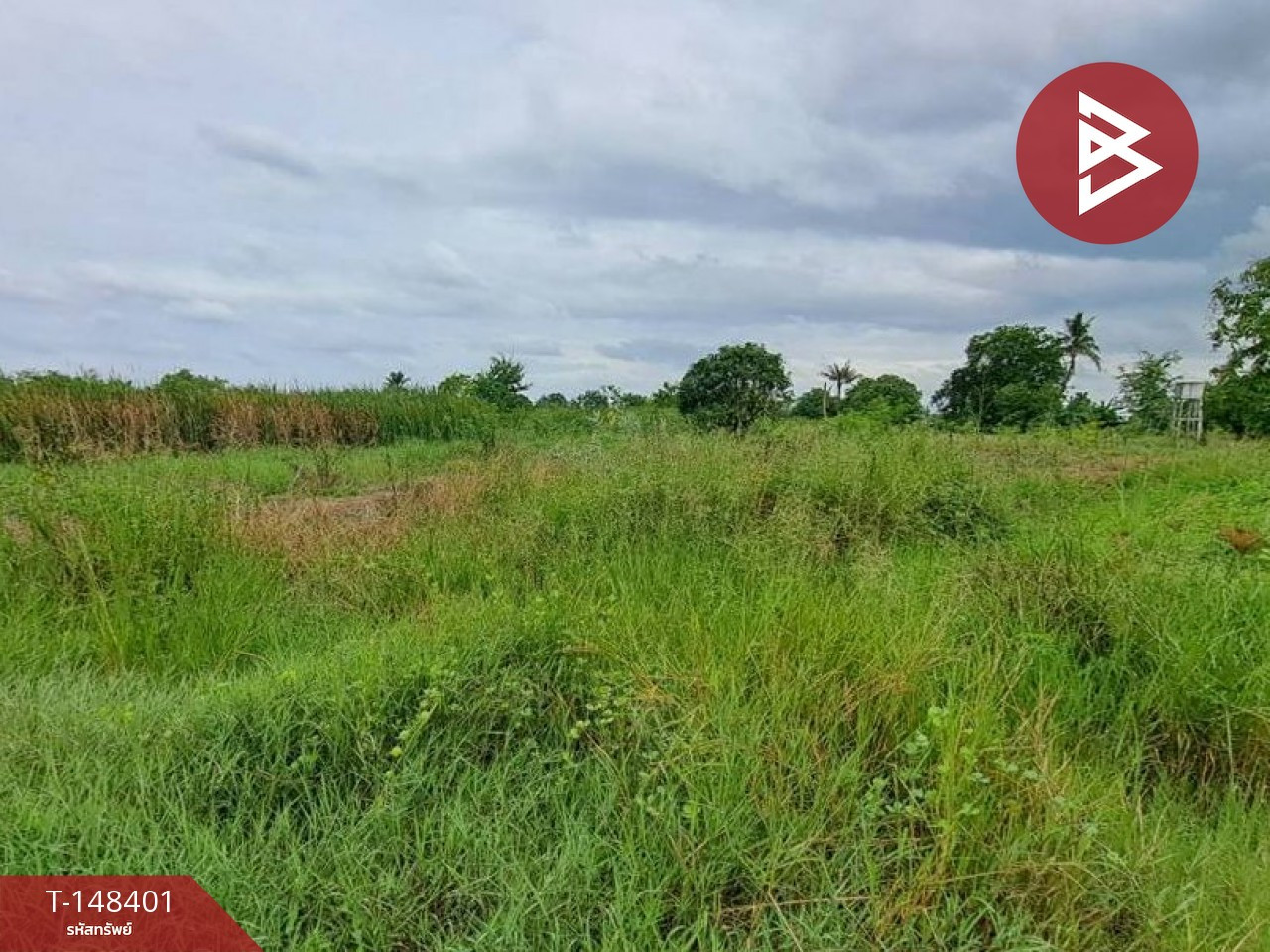 Land for sale, area 21 rai 3 ngan 18.7 square wah, Song Phi Nong, Suphan Buri – รูปที่ 4