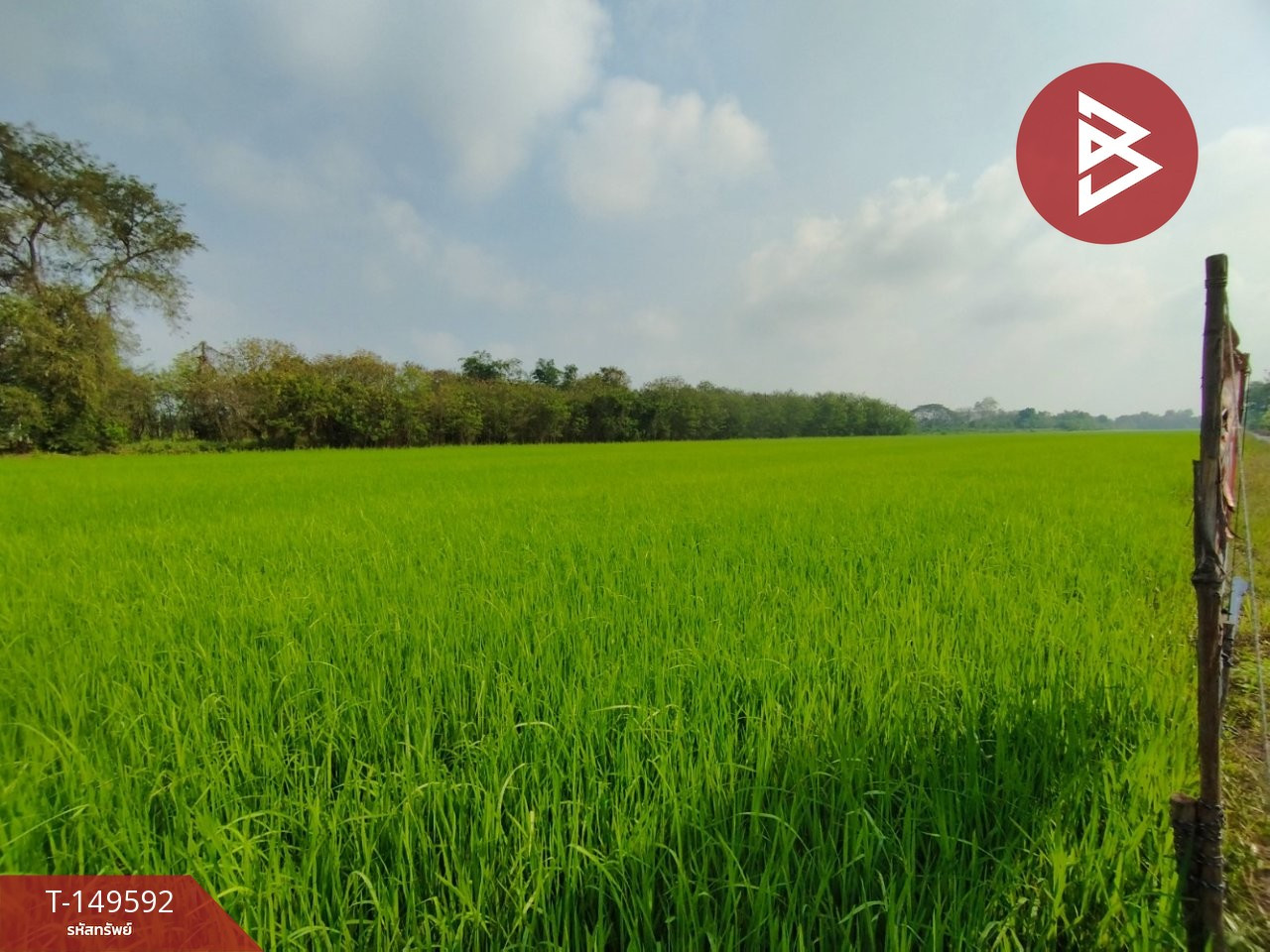 ขายที่ดิน เนื้อที่ 1 ไร่ หนองเสือ ปทุมธานี – รูปที่ 4