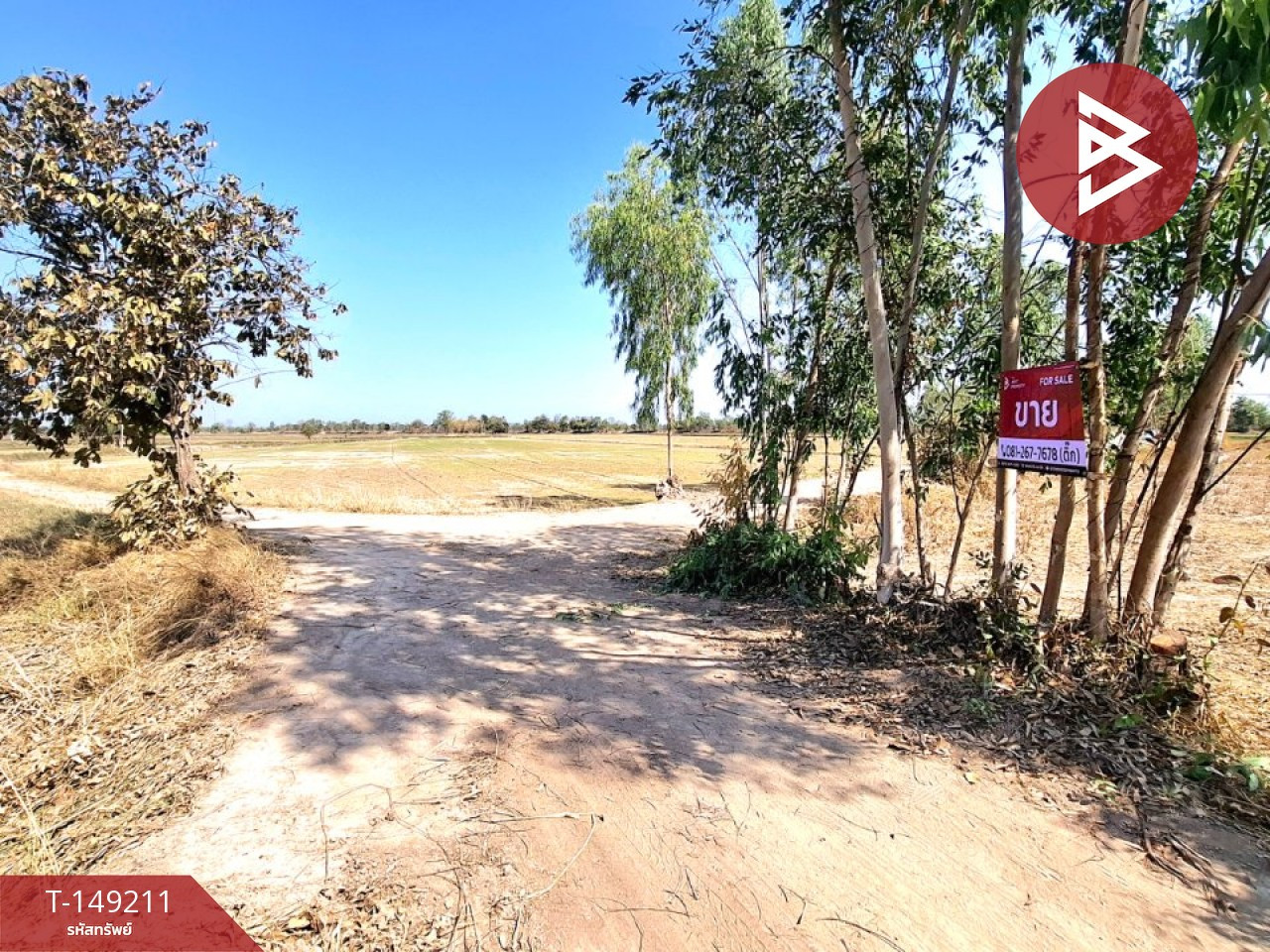 Land for sale, area 12 rai 3 ngan 37 square wah, Changhan, Roi Et. – รูปที่ 3