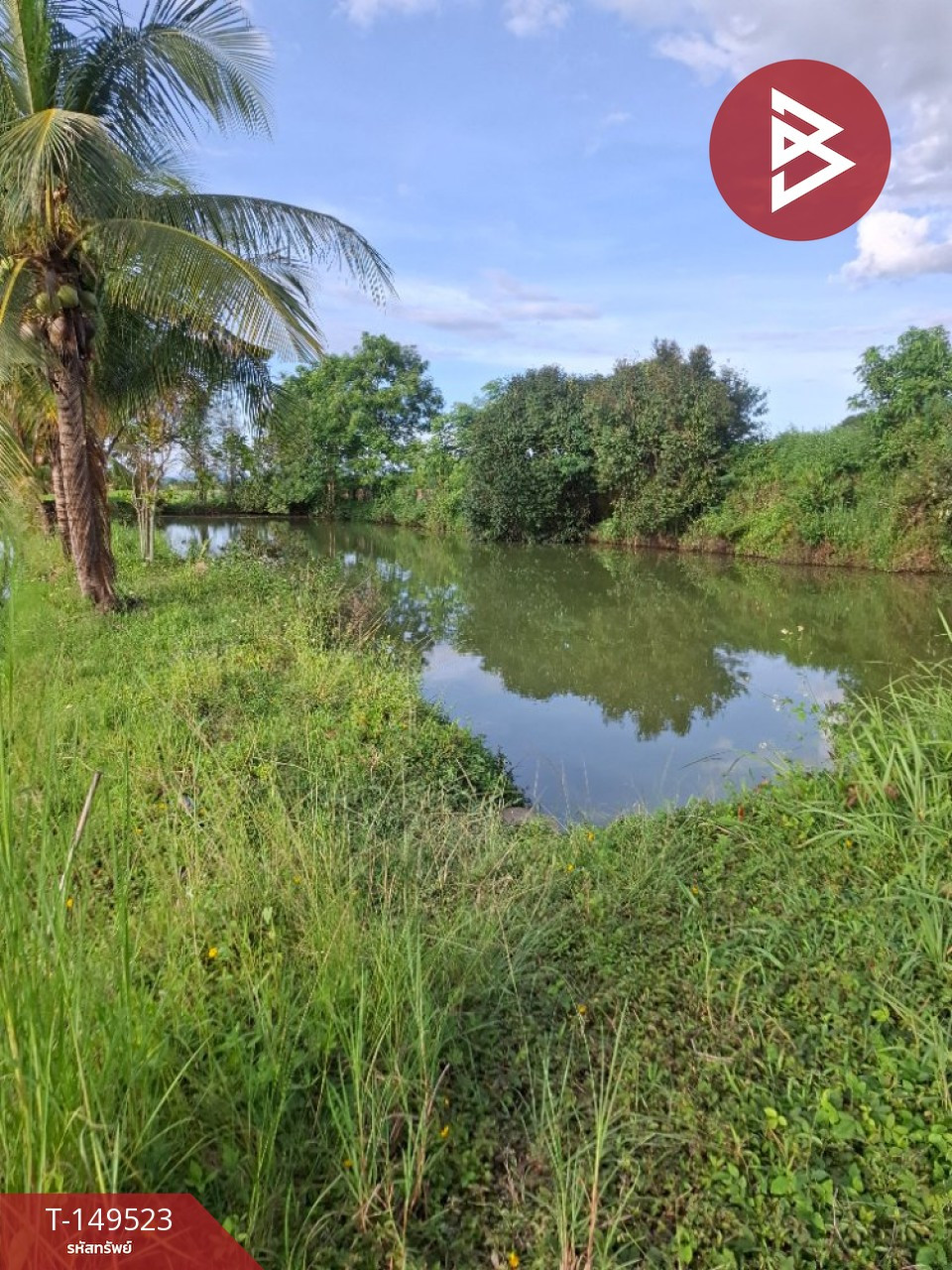 Land for sale, area 19 rai 1 ngan 51 square wa, Wiang Chiang Rung District, Chiang Rai, good location next to the road. – รูปที่ 4