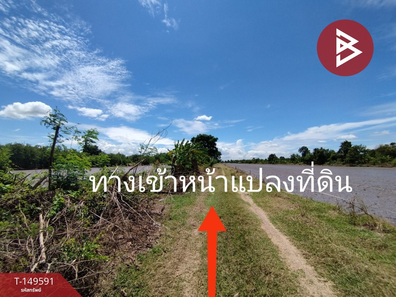 ขายที่ดิน เนื้อที่ 1 ไร่ คลอง 10 หนองเสือ ปทุมธานี – รูปที่ 4