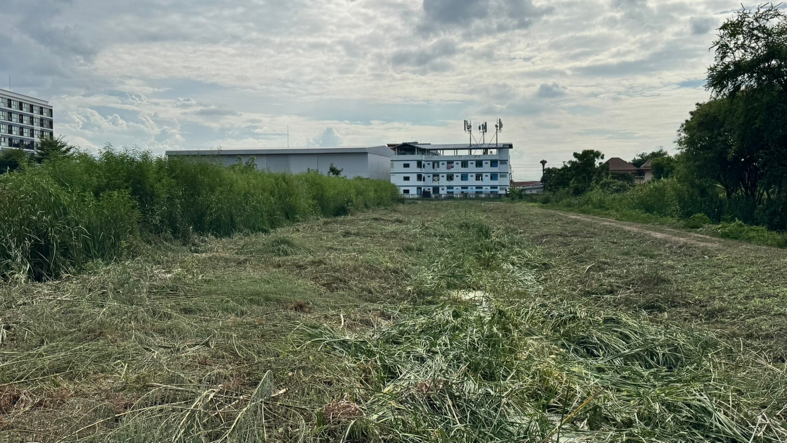 Topic: Land for sale, 3 rai, near Workpoint. Studio - Red Line Rangsit,  sells it himself. – รูปที่ 4