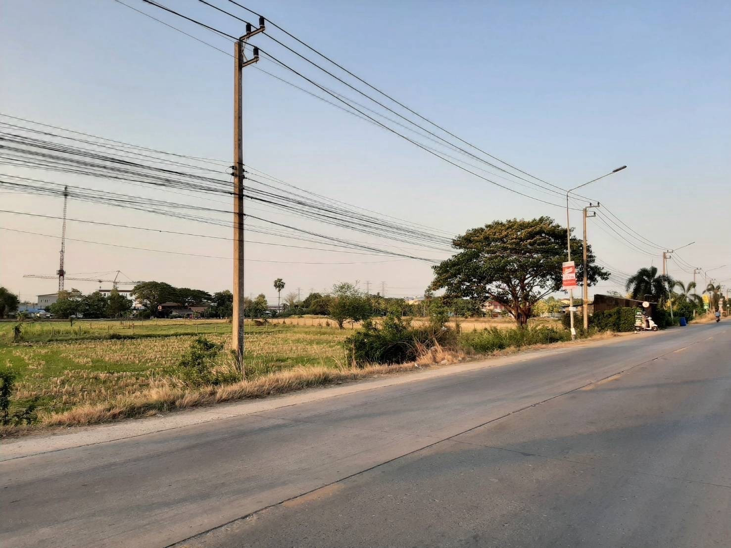 ขายที่ดินติดริมถนน 12 ไร่ คลอง 6-7 ลำลูกกา, (ซอย อบจ.) จ. ปทุมธานี (ใกล้อำเภอ เเหล่งชุมชน)