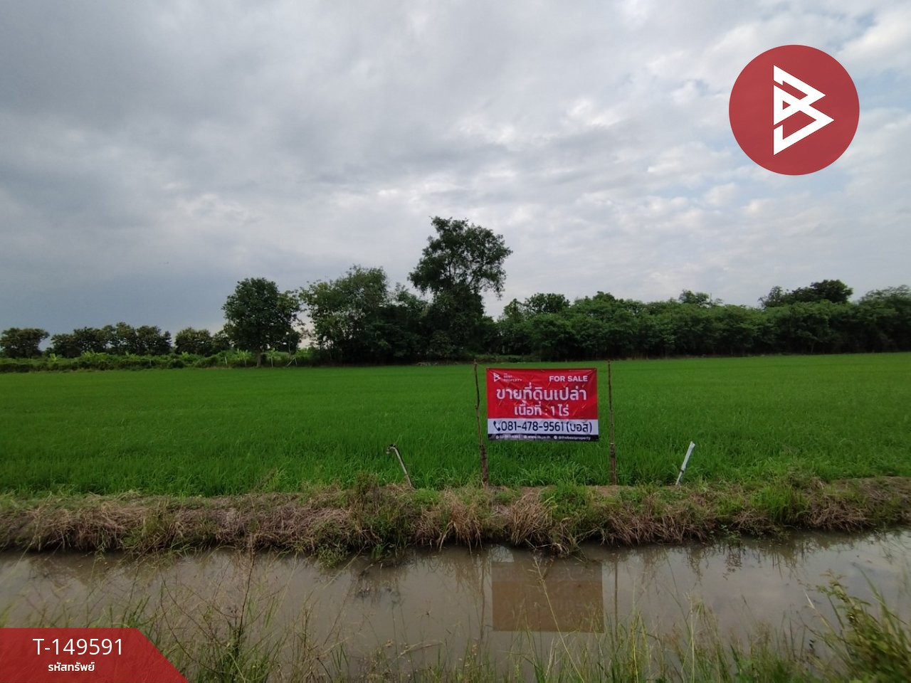 ขายที่ดิน เนื้อที่ 1 ไร่ คลอง 10 หนองเสือ ปทุมธานี ขายที่ดิน เนื้อที่ 1 ไร่ คลอง 10 หนองเสือ ปทุมธานี