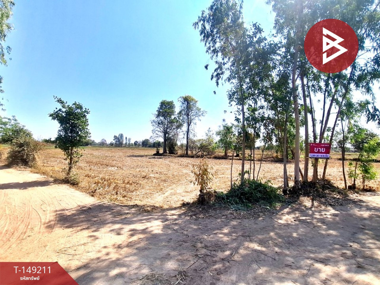 Land for sale, area 12 rai 3 ngan 37 square wah, Changhan, Roi Et. – รูปที่ 4