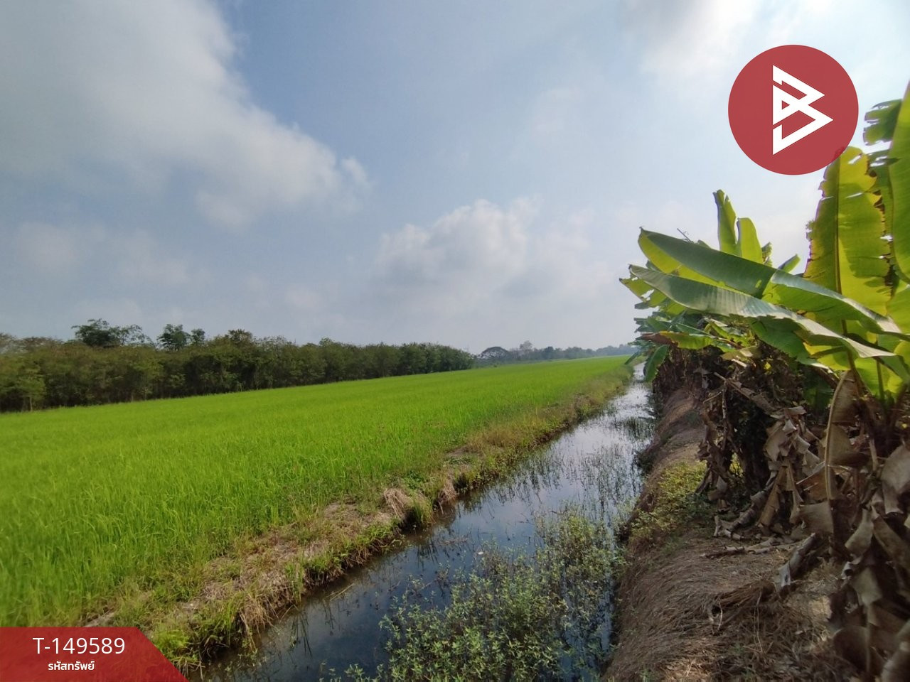 Land for sale, area 1 rai, Nong Suea, Khlong Sip, Pathum Thani. – รูปที่ 2