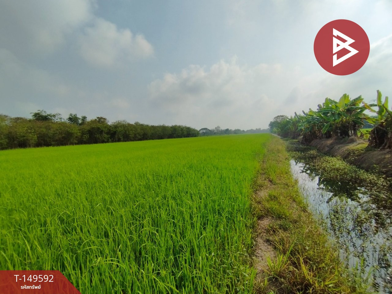 ขายที่ดิน เนื้อที่ 1 ไร่ หนองเสือ ปทุมธานี – รูปที่ 3