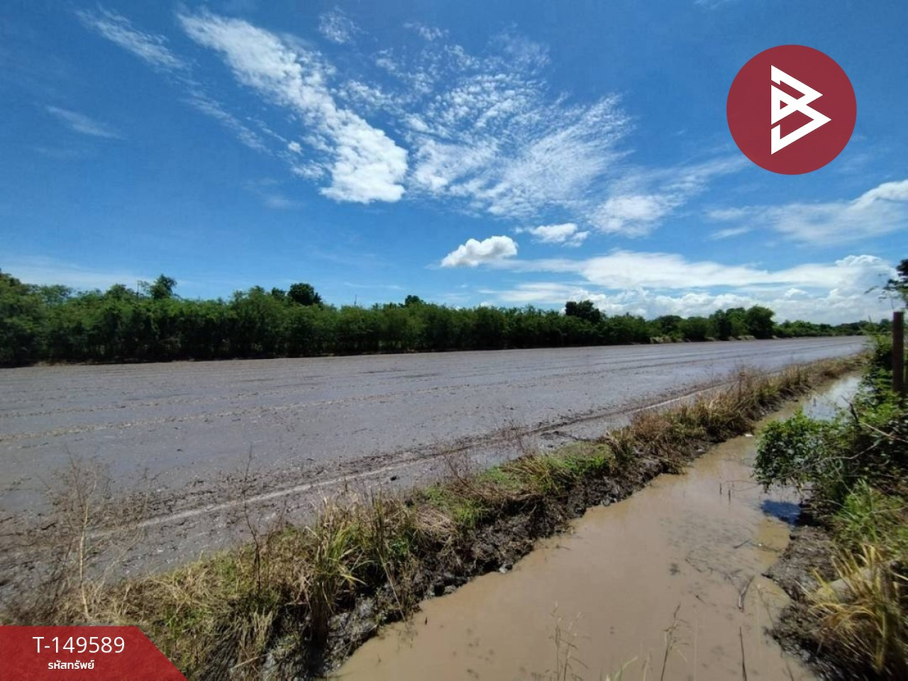 Land for sale, area 1 rai, Nong Suea, Khlong Sip, Pathum Thani. – รูปที่ 3