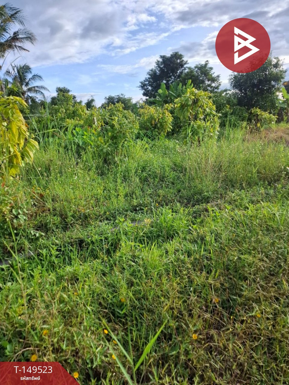 Land for sale, area 19 rai 1 ngan 51 square wa, Wiang Chiang Rung District, Chiang Rai, good location next to the road. – รูปที่ 3