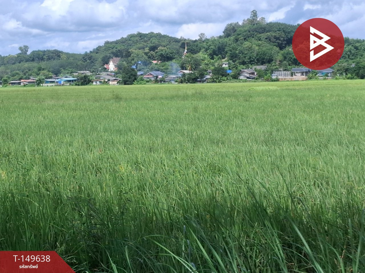 ขายที่ดิน 20 ไร่ 63 ตารางวา เวียงเชียงรุ้ง เชียงราย – รูปที่ 4