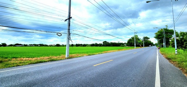 ขายที่ดินติดถนนลาดยางเรียบคลองคลอง 7 รังสิตปทุมธานี 40 ไร่ ขายที่ดินติดถนนลาดยางเรียบคลองคลอง 7 รังสิตปทุมธานี 40 ไร่