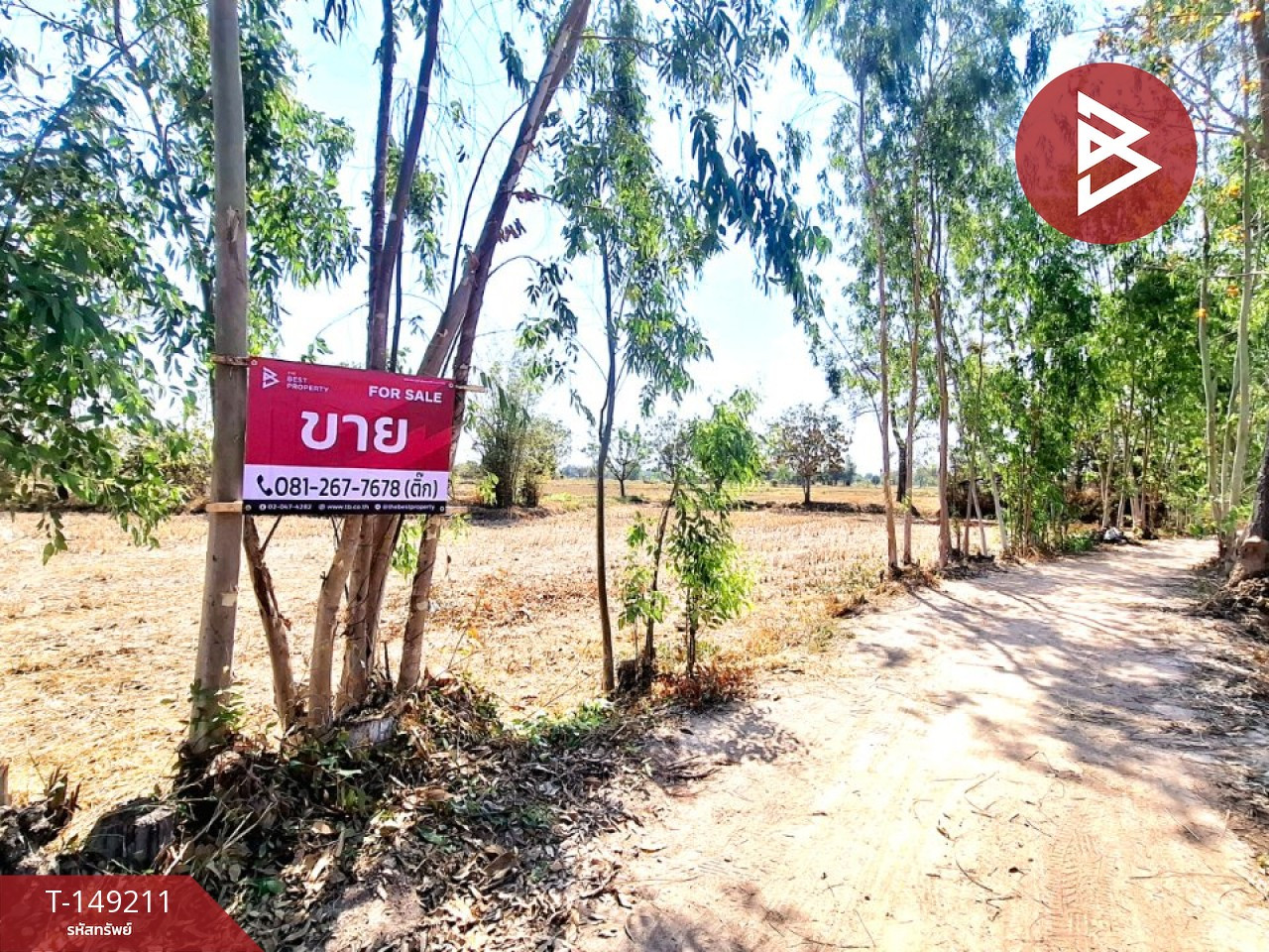 Land for sale, area 12 rai 3 ngan 37 square wah, Changhan, Roi Et. – รูปที่ 2