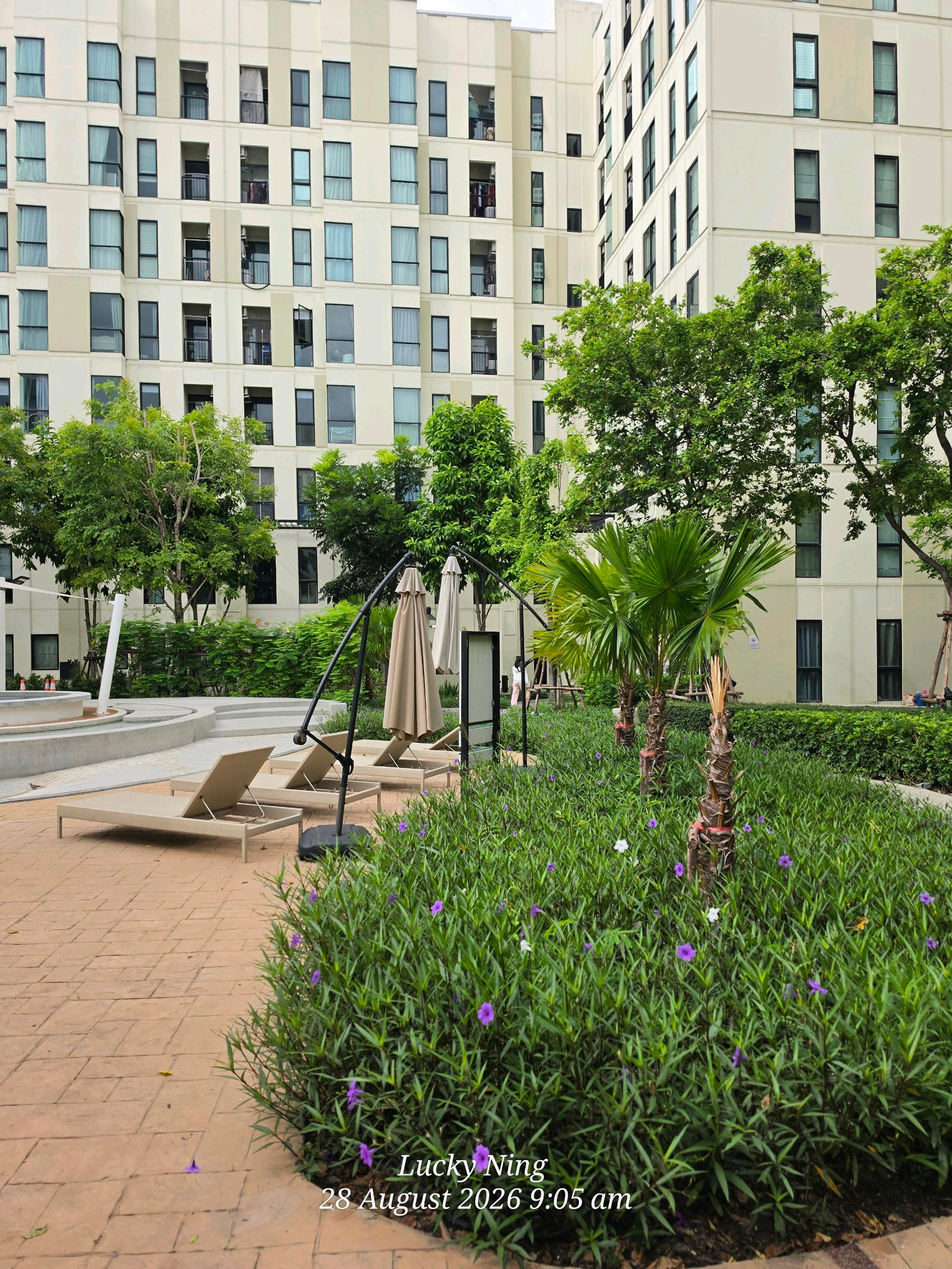 2.25 MB Unio Sukhumvit 72 phase 2 **Size 31.89 sq m, 8th floor, Building C** 2.25 MB Unio Sukhumvit 72 phase 2 **Size 31.89 sq m, 8th floor, Building C**
