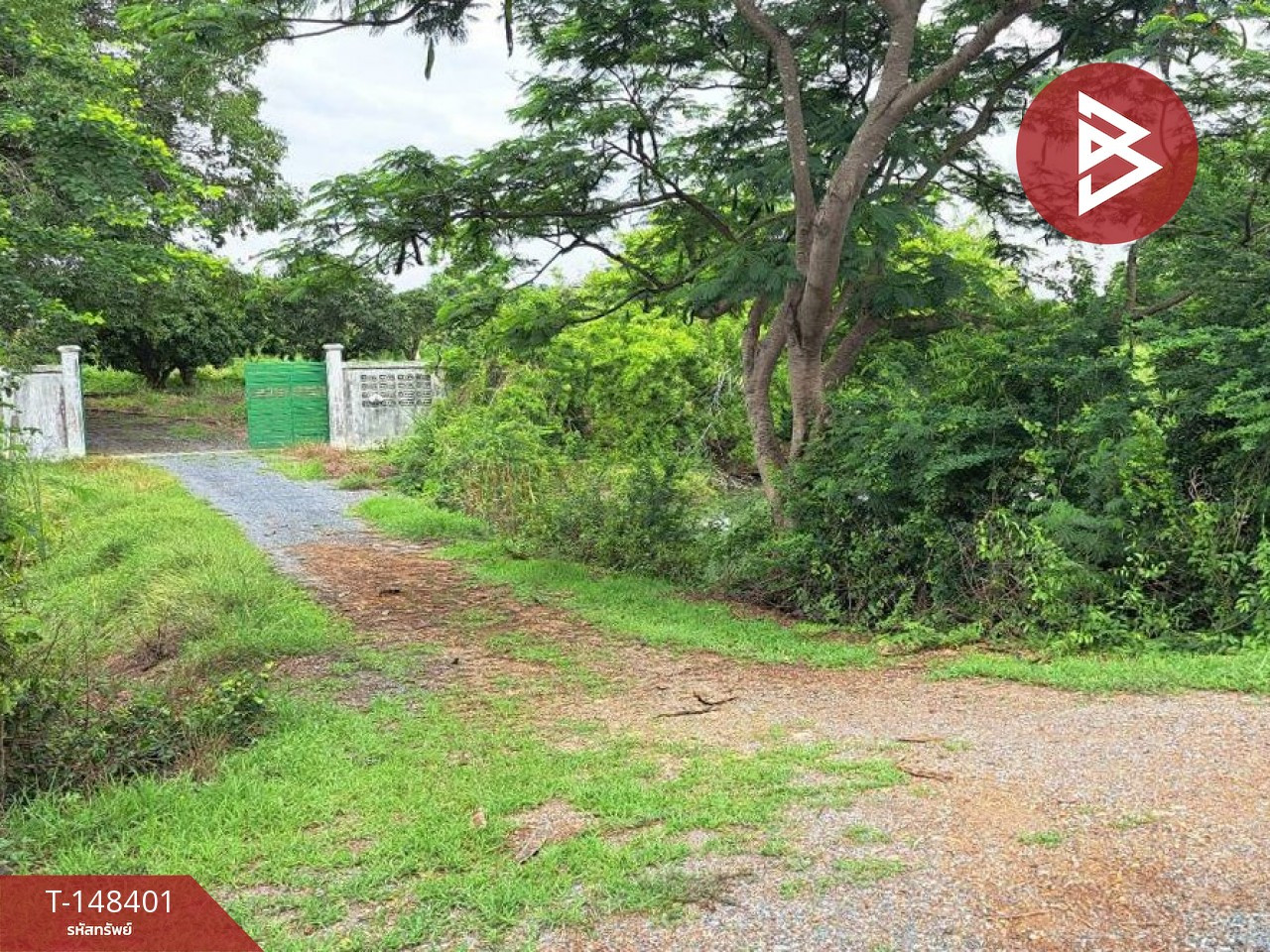 Land for sale, area 21 rai 3 ngan 18.7 square wah, Song Phi Nong, Suphan Buri – รูปที่ 2