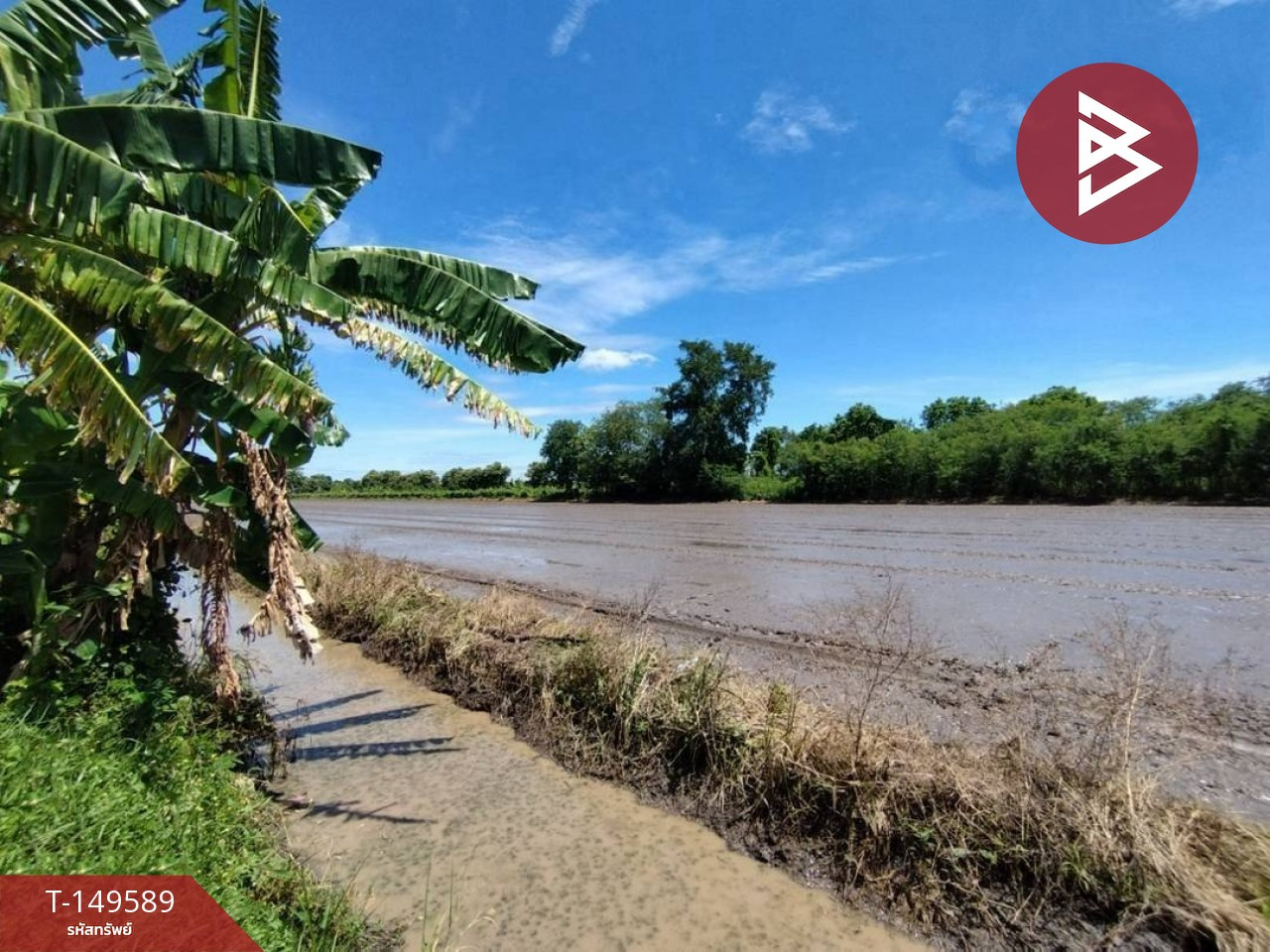 Land for sale, area 1 rai, Nong Suea, Khlong Sip, Pathum Thani. – รูปที่ 4