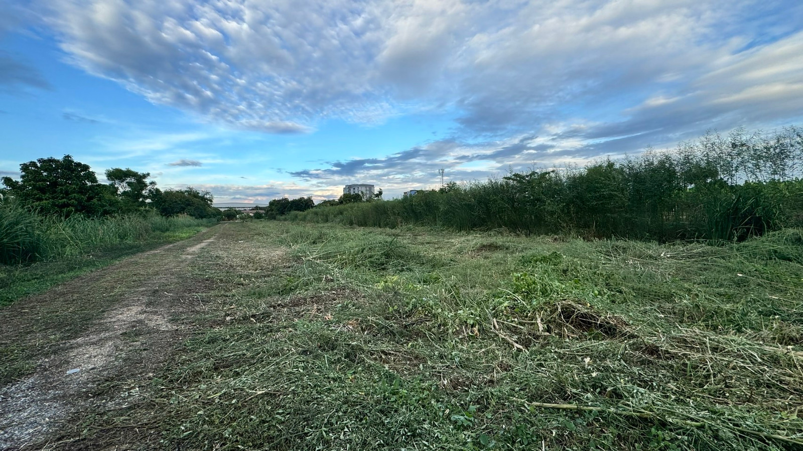 Topic: Land for sale, 3 rai, near Workpoint. Studio - Red Line Rangsit,  sells it himself. – รูปที่ 3