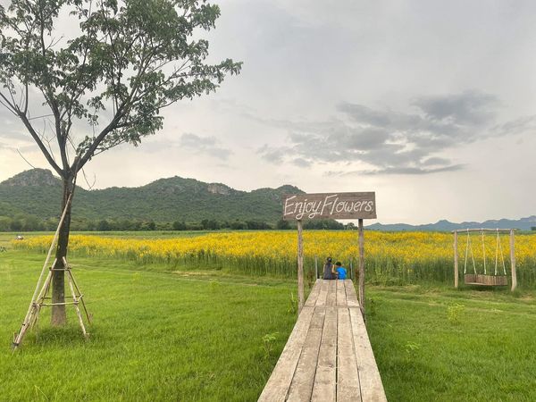 ขายที่ดินสวย 2 แปลง กาญจนบุรี ท่าม่วง วิวภูเขา เคยเป็นสวนดอกไม้ ติดถนนลาดยาง