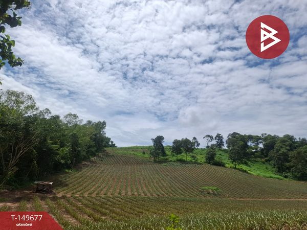 Land for sale, area 24 rai 2 ngan 84 sq m, Wiang Chiang Rung, Chiang Rai.