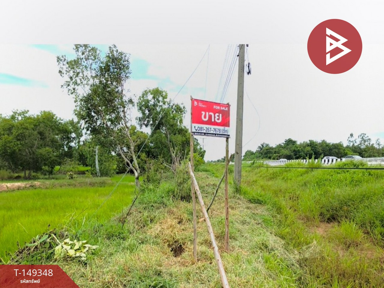 Land for sale, area 23 rai 1 ngan 66 square wa, Na Dun District, Maha Sarakham Province. Land for sale, area 23 rai 1 ngan 66 square wa, Na Dun District, Maha Sarakham Province.