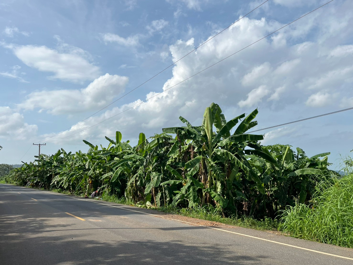 Beautiful plot of land for sale, area 35 rai 3 ngan 80 square wah, Song Khon Subdistrict, Kaeng Khoi District, Saraburi Province. – รูปที่ 3
