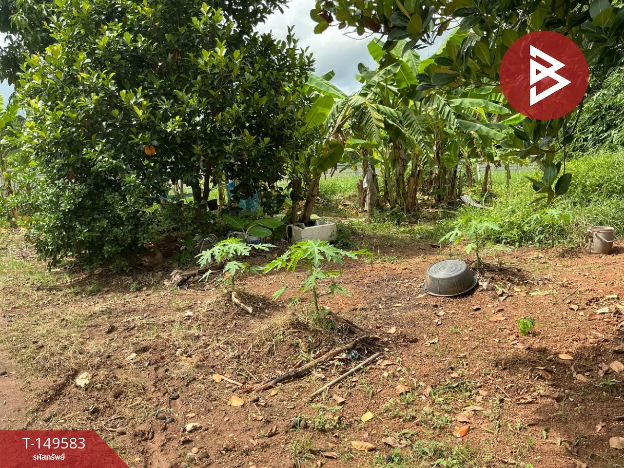 Land for sale, area 85 square meters, Tha Sao Subdistrict, Mueang Uttaradit, location next to the road. – รูปที่ 2