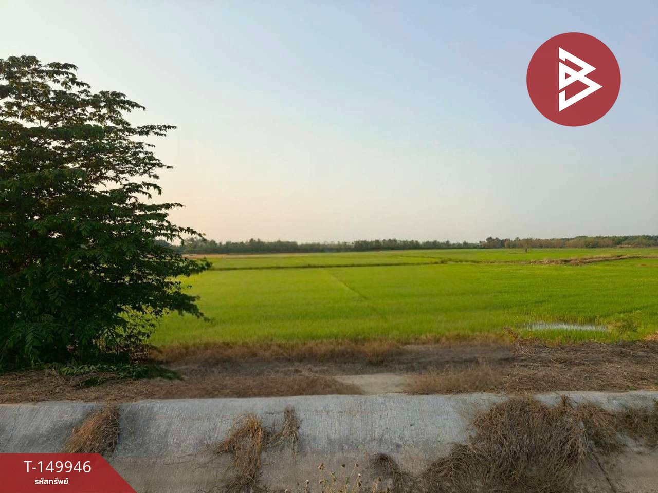 ขายที่ดิน เนื้อที่ 12 ไร่ 84 ตร.วา ท่าเรือ พระนครศรีอยุธยา – รูปที่ 2