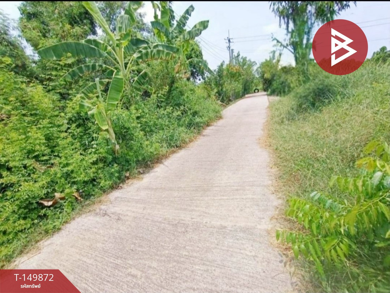 ขายที่ดิน เนื้อที่ 2 ไร่ 4 ตร.วา เมืองฉะเชิงเทรา – รูปที่ 4