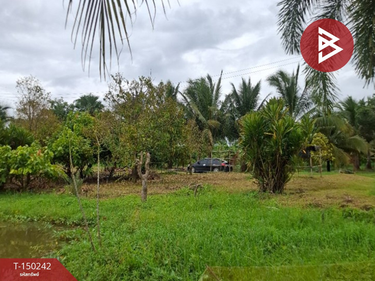 ขายที่ดิน เนื้อที่ 18 ไร่ 2 งาน 3 ตร.วา เวียงเชียงรุ้ง เชียงราย – รูปที่ 4