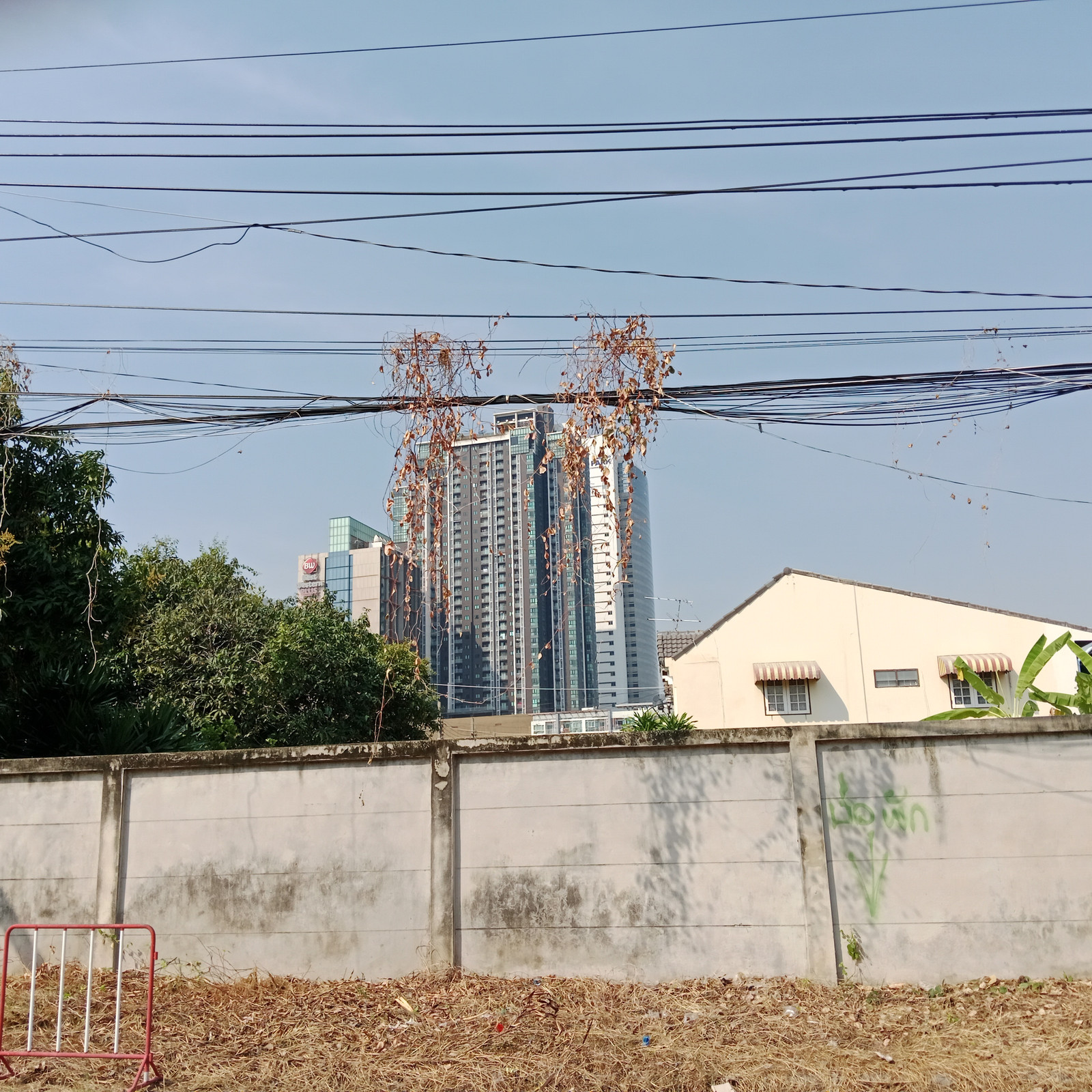 ขายที่ดินเปล่า 107 ตรว. ซอยแจ้งวัฒนะ-ปากเกร็ด 29 จ.นนทบุรี ใกล้ถนนแจ้งวัฒนะ 250 เมตร ใกล้รถไฟฟ้า ใกล้ทางด่วน – รูปที่ 3