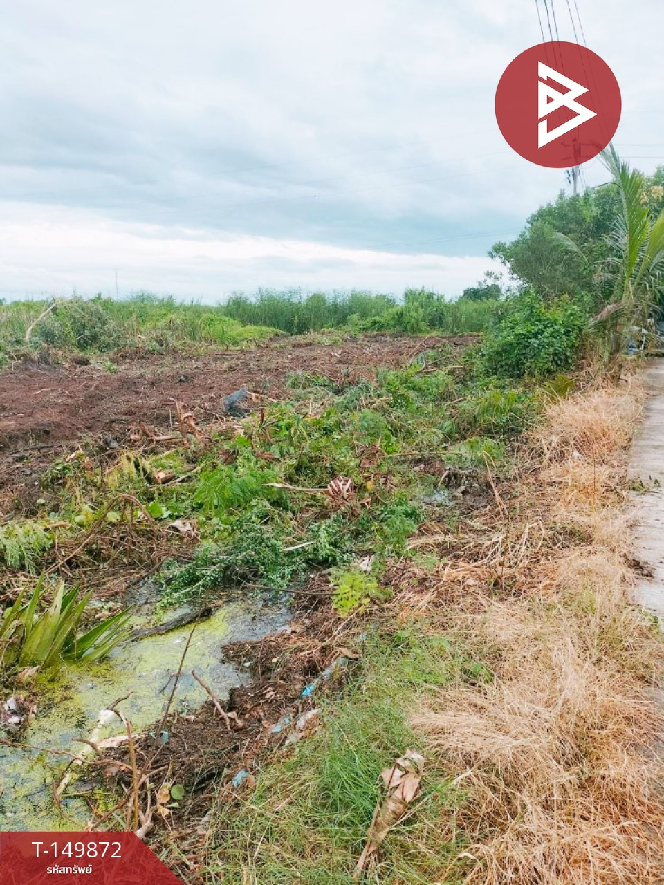 ขายที่ดิน เนื้อที่ 2 ไร่ 4 ตร.วา เมืองฉะเชิงเทรา – รูปที่ 3