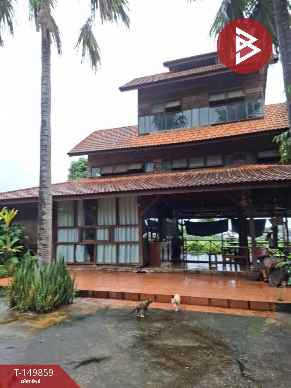 ขายรีสอร์ท เนื้อที่ 6 ไร่ 70 ตารางวา รอบเวียง เชียงราย ทำเลดีใกล้แม่น้ำ ติดถนน – รูปที่ 2