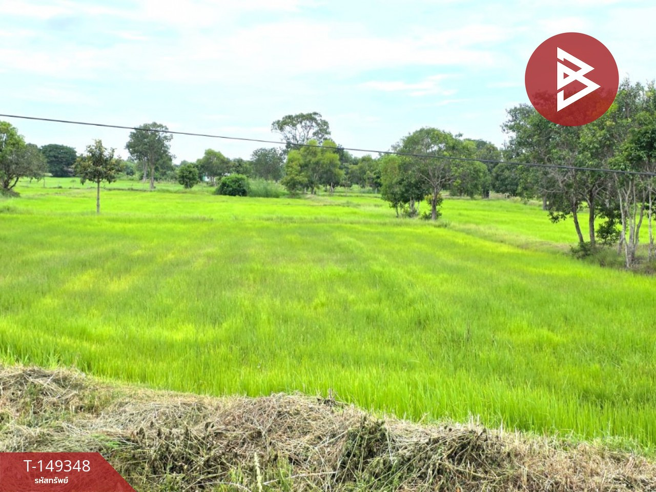 Land for sale, area 23 rai 1 ngan 66 square wa, Na Dun District, Maha Sarakham Province. – รูปที่ 2