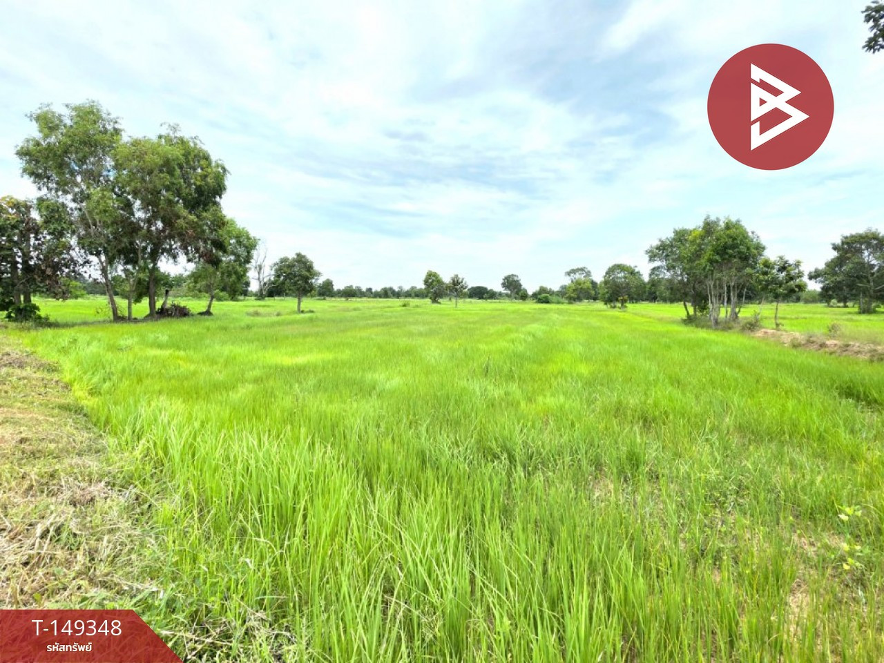 Land for sale, area 23 rai 1 ngan 66 square wa, Na Dun District, Maha Sarakham Province. – รูปที่ 4
