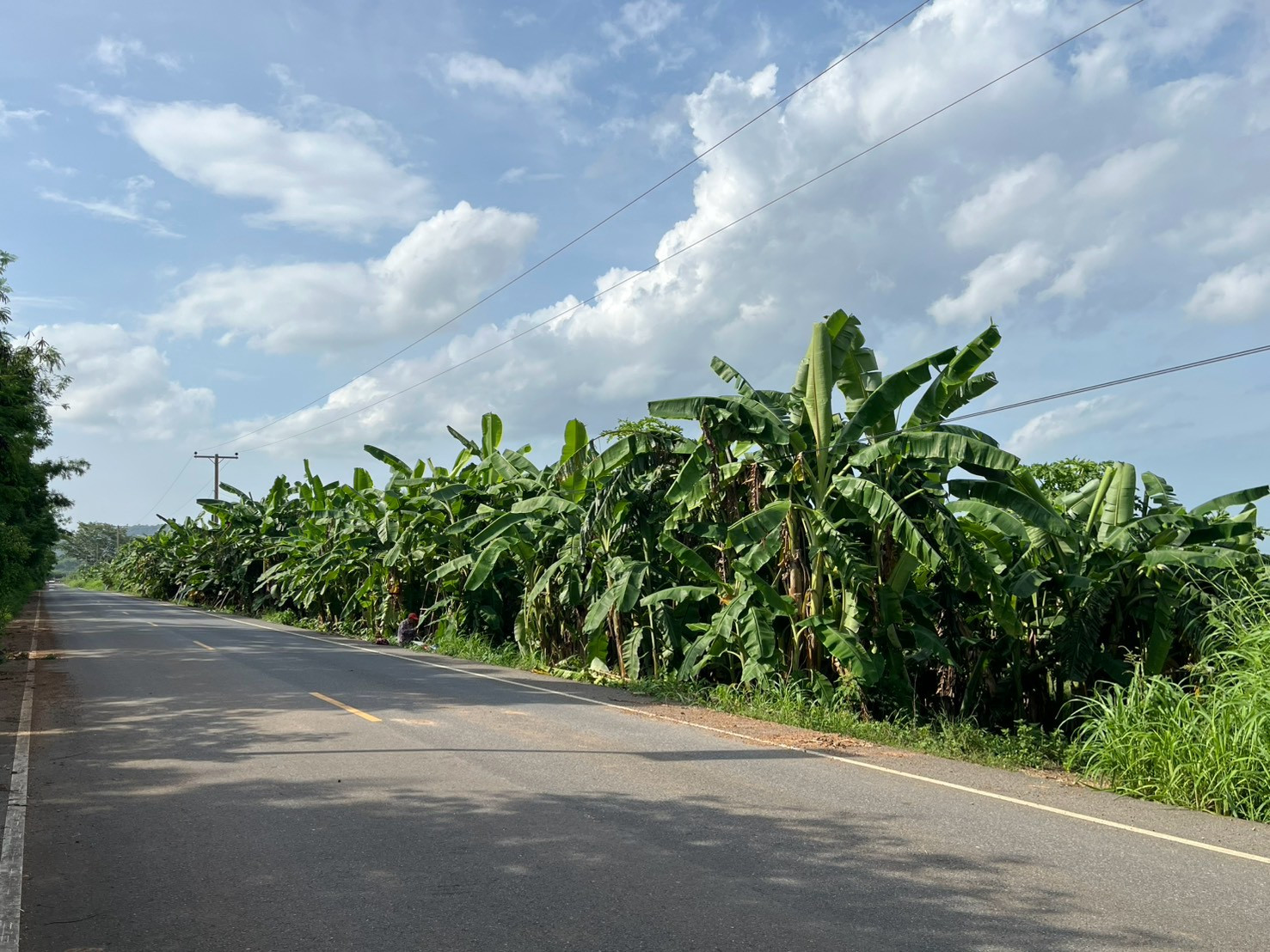 Beautiful plot of land for sale, area 35 rai 3 ngan 80 square wah, Song Khon Subdistrict, Kaeng Khoi District, Saraburi Province. – รูปที่ 4