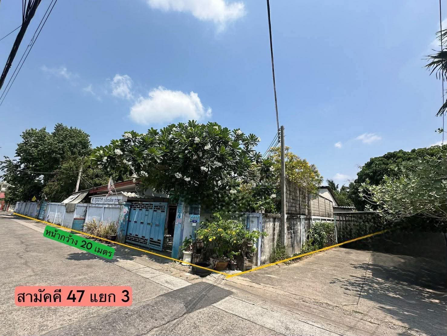 ขายด่วน ที่ดิน 186 ตรว. ซอยสามัคคี 47 แยก 3  – รูปที่ 3