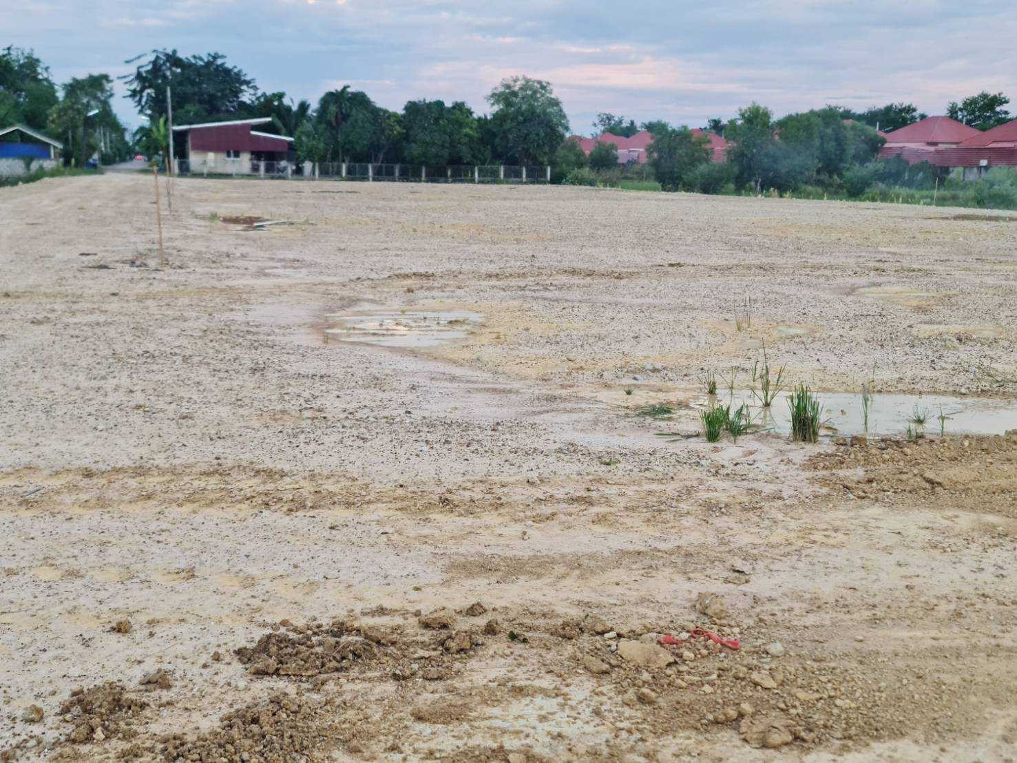 ขายที่ดินสวย ตำบลบ้านหม้อ จังหวัดเพชรบุรี ขนาด 130 ตร.ว./แปลง ติดถนน (N.1326) ขายที่ดินสวย ตำบลบ้านหม้อ จังหวัดเพชรบุรี ขนาด 130 ตร.ว./แปลง ติดถนน (N.1326)