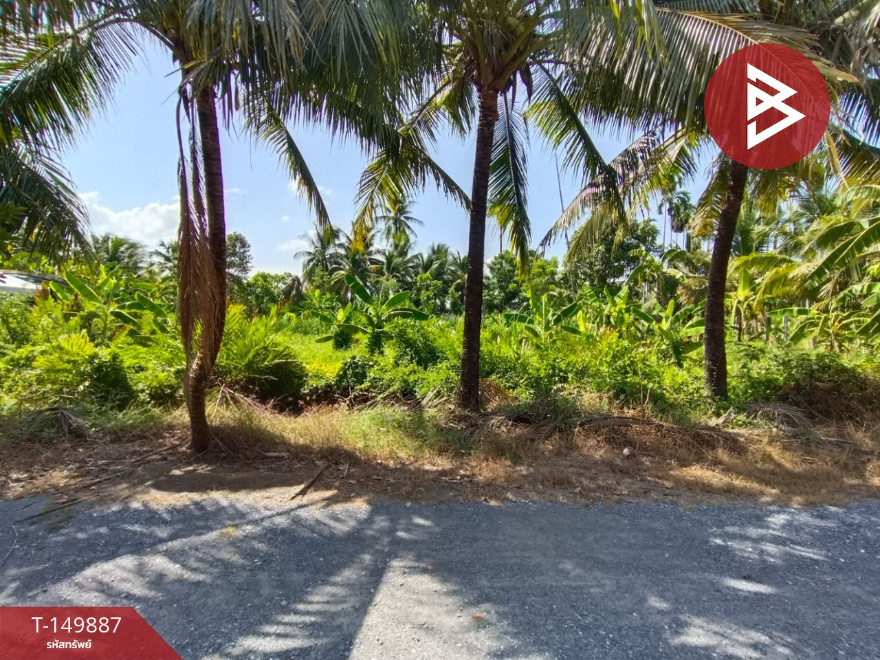 Land for sale, 3 plots, area 100 square meters, Hom Kret, Sam Phran, Nakhon Pathom. Land for sale, 3 plots, area 100 square meters, Hom Kret, Sam Phran, Nakhon Pathom.