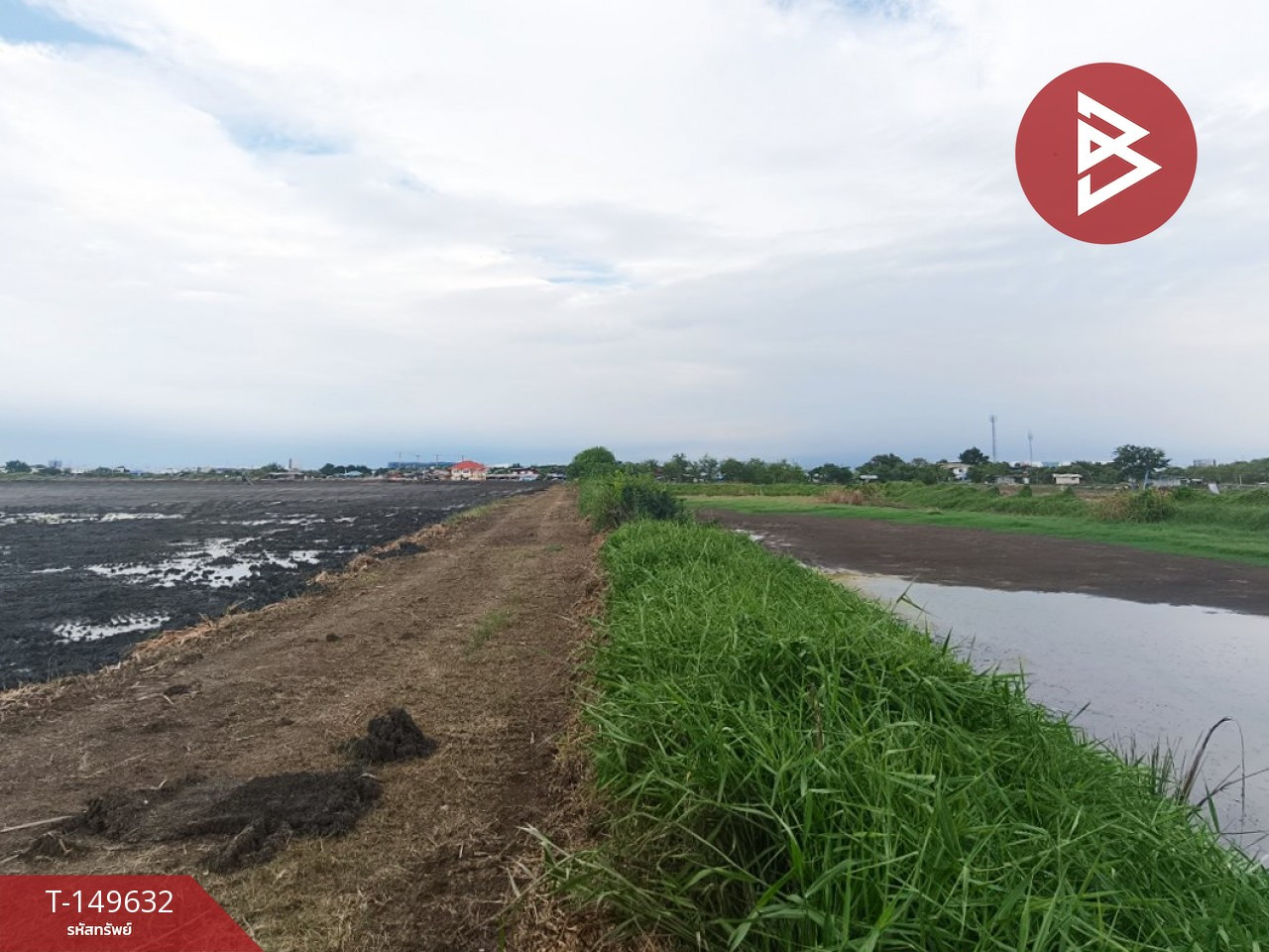 Land for sale, area 8 rai 2 ngan 88 square wah, Bang Pakong, Chachoengsao. – รูปที่ 4