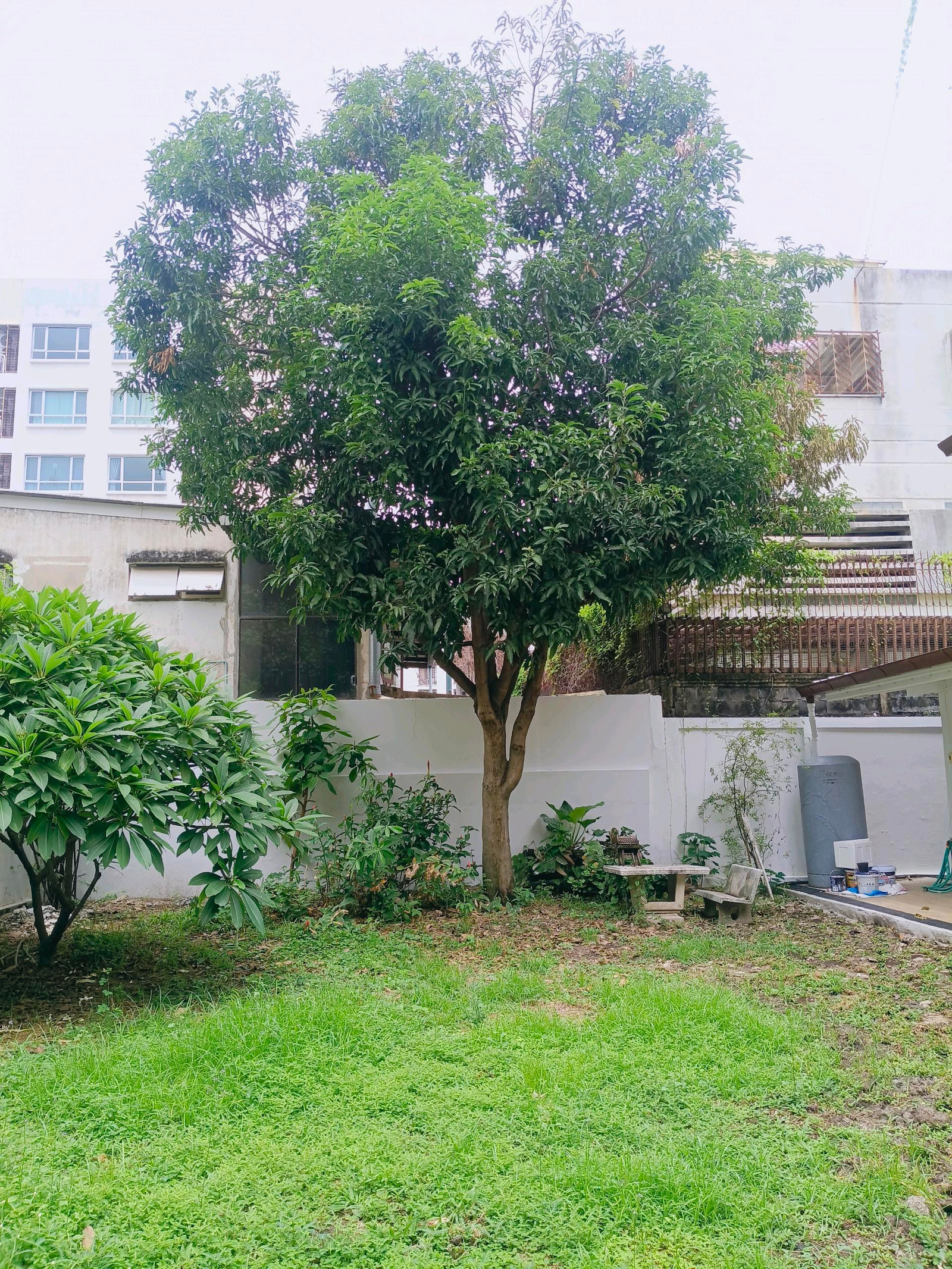 ให้เช่าบ้านอโศกสุขุมวิท16 – รูปที่ 4