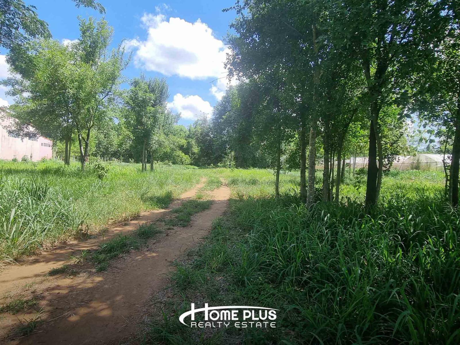 🌳 ขายที่ดิน 1 ไร่ 35 ตร.ว. ถนนบ้านไร่ หนองสาหร่าย ปากช่อง ใกล้วัดหนองสาหร่าย – รูปที่ 2
