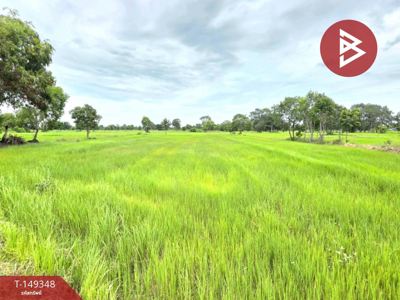 Land for sale, area 23 rai 1 ngan 66 square wa, Na Dun District, Maha Sarakham Province. – รูปที่ 3