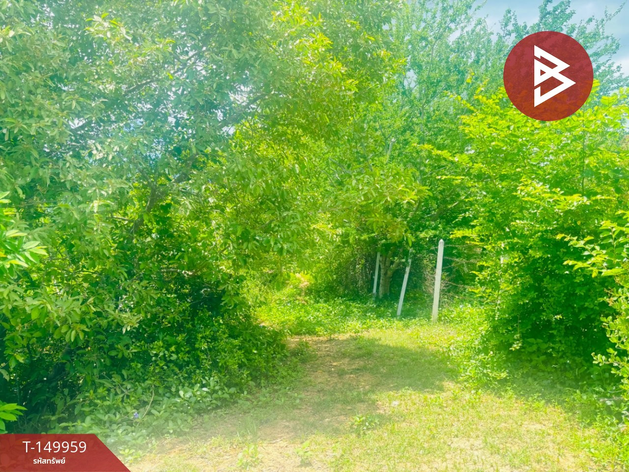 Land for sale, area 10 rai 3 ngan 74 square wah, Pranburi, Prachuap Khiri Khan. Next to the irrigation canal – รูปที่ 4