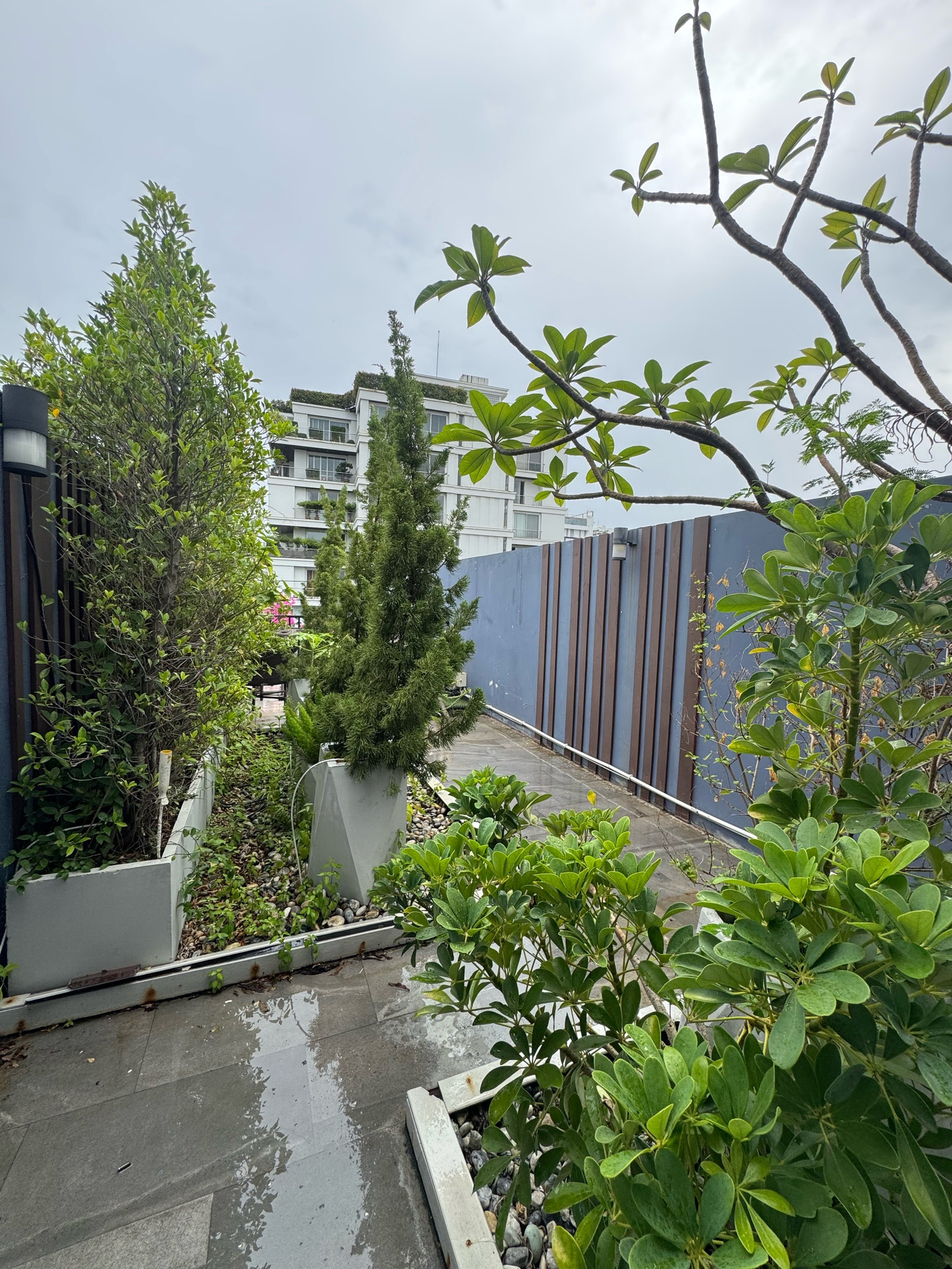 For Rent Escape House Thonglor are Welcome Pet Friendly for Rent For Rent Escape House Thonglor are Welcome Pet Friendly for Rent