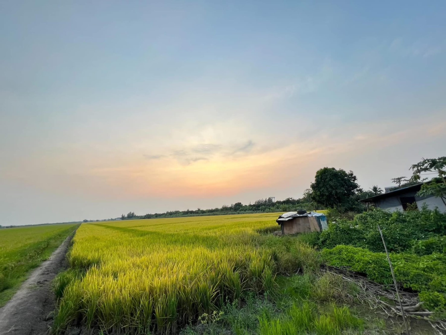 Land for sale in Nakhon Pathom Province, beautiful, good price, can be sold separately, Bang Len District, next to Krung Non-Jong Thanom Road. – รูปที่ 3