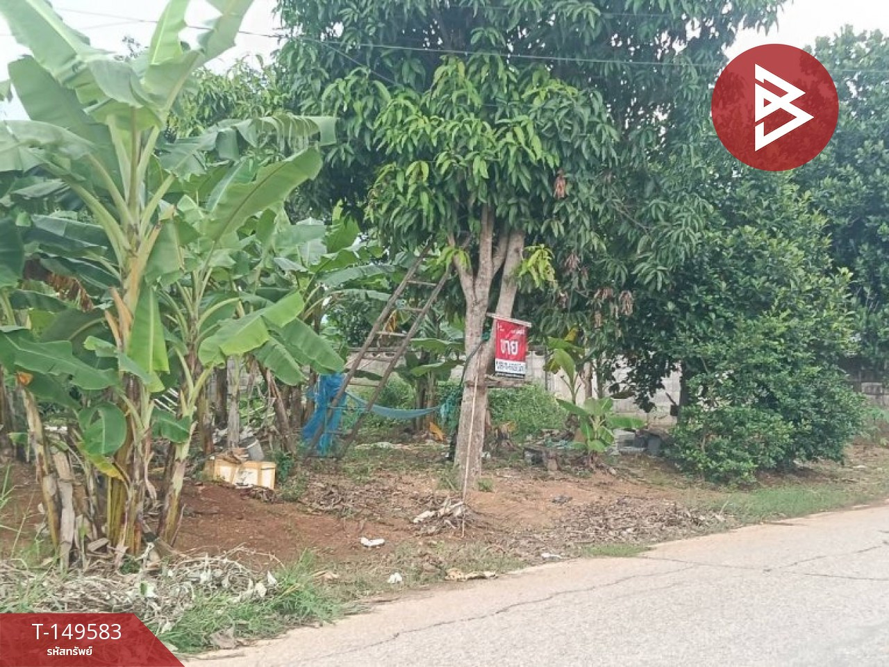 Land for sale, area 85 square meters, Tha Sao Subdistrict, Mueang Uttaradit, location next to the road. – รูปที่ 3