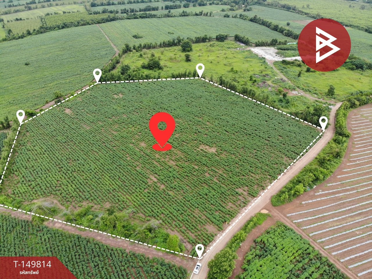 ขายที่ดิน เนื้อที่ 19 ไร่ 3 งาน 57 ตร.วา ศรีมหาโพธิ ปราจีนบุรี ขายที่ดิน เนื้อที่ 19 ไร่ 3 งาน 57 ตร.วา ศรีมหาโพธิ ปราจีนบุรี